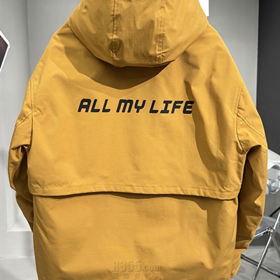 市场上装-棉衣/羽绒服-休闲棉服