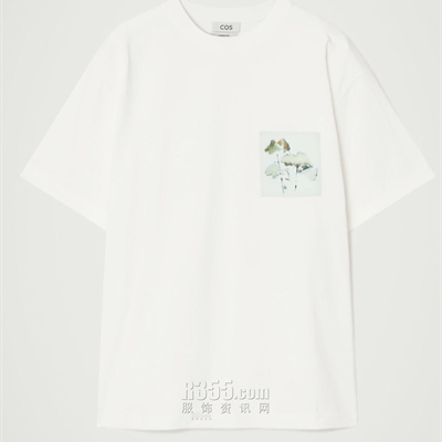 商场品牌-短袖-T恤
