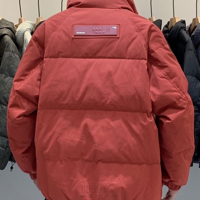 市场上装-棉衣/羽绒服-休闲棉服