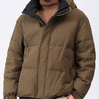 市场上装-棉衣/羽绒服-休闲棉服