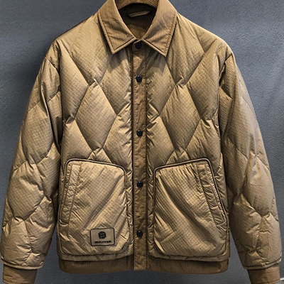 市场上装-棉衣/羽绒服-休闲棉服