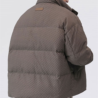 市场上装-棉衣/羽绒服-休闲棉服