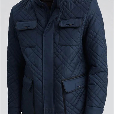 市场上装-棉衣/羽绒服-商务棉服