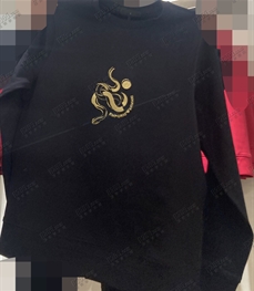 商场品牌-套头-卫衣【实拍】