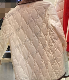 运动品牌-棉衣/羽绒-女运动棉服【实拍】