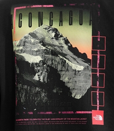 户外品牌-卫衣-男户外卫衣