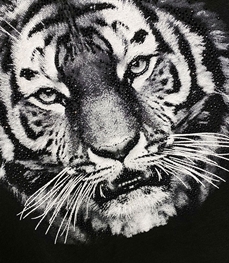 市场上装-T恤-欧货T恤