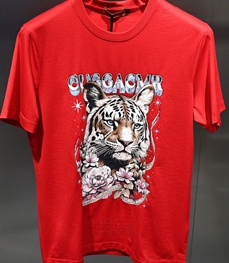 市场上装-T恤-欧货T恤