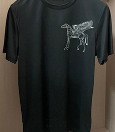 市场上装-T恤-欧货T恤