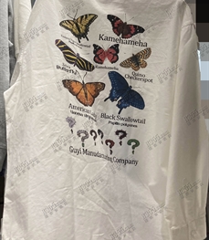 市场上装-衬衫-休闲衬衫【实拍】