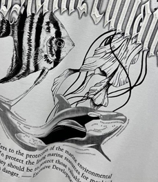 市场上装-T恤-欧货T恤