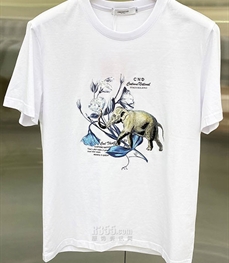 市场上装-T恤-欧货T恤