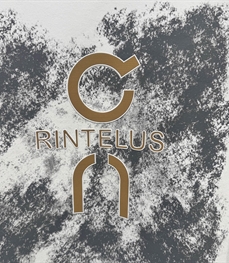 市场上装-卫衣-欧货卫衣