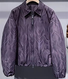 市场上装-棉衣/羽绒服-休闲棉服