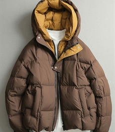 市场上装-棉衣/羽绒服-休闲棉服