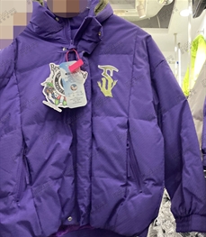 市场上装-棉衣/羽绒服-休闲棉服