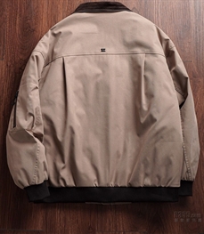 市场上装-棉衣/羽绒服-休闲棉服