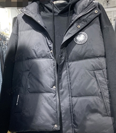 市场上装-棉衣/羽绒服-欧货棉服