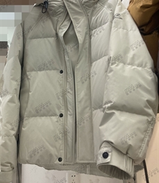 市场上装-棉衣/羽绒服-休闲卫棉服