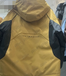 市场上装-棉衣/羽绒服-休闲卫棉服