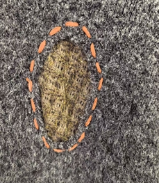 市场上装-毛衫-休闲毛衫【实拍】